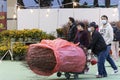 People shop for flowers at the Victoria Park Flower Market in preparation for the Chinese New Year, the Year of the Rabbit