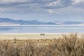 3 people on the shore of Great Salt Lake, Utah Royalty Free Stock Photo