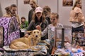 People at the show distribution of stray animals Royalty Free Stock Photo