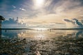 People silhouette walking on the beach near the sea at sunset with cloudy sky Royalty Free Stock Photo