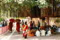 People sit under a ficus tree in Mahabodhi temple park. Bodh Gaya, India Royalty Free Stock Photo