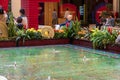 People sitting around a pool in the waterfall atrium at The Venetian Resort and Hotel surrounded by lush green plants