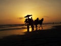 People sitting in horse chariot on sea beach