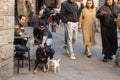 People sitting outside at cafe in small square. Traditional buildings and decorative tree. Man with dog