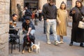 People sitting outside at cafe in small square. Traditional buildings and decorative tree. Man with dog