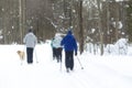 People ski in winter on a ski track through a winter forest.Cross Country skiing