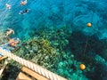 The people snorkeling in blue waters above coral reef on red sea in Sharm El Sheikh, Egypt