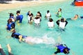 People snorkeling in tropics Royalty Free Stock Photo