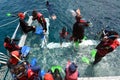 People snorkelling and dive from a platform in the Great Barrier