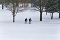 People snowshoeing in the snow Royalty Free Stock Photo