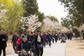 People in the spring in the park in spring