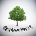 People standing around a large tree Royalty Free Stock Photo
