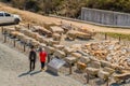 People standing next to collection of boulders