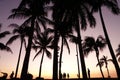 People standing on the seawall at sunset