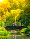 People standing on the small wooden bridge over park pond in lush greenery of botanical garden Royalty Free Stock Photo