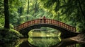 People standing on a stone bridge in the forest Royalty Free Stock Photo