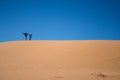 People standing on top of ripple sand dunes and blue sky background. Desert landscape, sandy waves. Nature Royalty Free Stock Photo