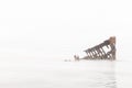 People Stranded on Wreck of the Peter Iredale in Pacific Ocean Royalty Free Stock Photo