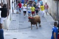 People on the street with the bull bound in Chiva