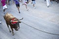 People on the street with the bull bound in Chiva