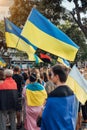 People at street covered with Ukrainian yellow and blue flags