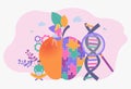 People study genetically modified foods, genetically modified foods, the concept of genetically engineered foods. Bioengineering, Royalty Free Stock Photo