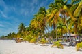 People are sunbathing in the shadow of cocos palms on white sand beach, Isla Mujeres island, Caribbean Sea, Cancun, Yucatan, Royalty Free Stock Photo