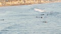 People surfing, surfers swimming in water and waiting sea wave, Oceanside, California USA Royalty Free Stock Photo