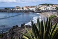 People Surfing and Swimming on a Beach in Sao Roque