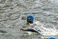 People swim at Challenge London