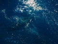 People swim and diving in plastic pollution on Liberty wreck ship in Tulamben, Bali