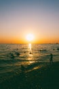 People swim in the sea at sunset Royalty Free Stock Photo