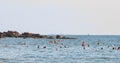 People swim in the sea water near the shore