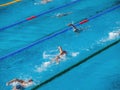 People in a swimming pool Royalty Free Stock Photo