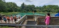 People swimming at Rainbow River headspring, Florida Royalty Free Stock Photo