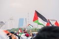 People take part in a protest in support of Palestinians following the conflict between Israel and Hamas in Monas