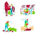 People taking care of animals on farm Royalty Free Stock Photo