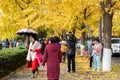 People taking photos of yellow leaves on gingko trees by Jinjiang river in Jinli ZhongLu street in Autumn.