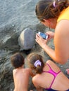 People taking pictures of a marine tourtle Royalty Free Stock Photo