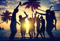 People Teenagers Summer Enjoying Beach Party Concept