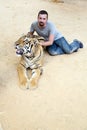 People with tiger temple Royalty Free Stock Photo