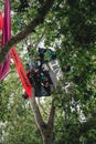 People people on the top of the tree at Extinction Rebellion Protest at Parliament square