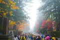 People tour in autumn season and fog of Toshogu Shrine