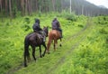 people tourists ride horses through the forest in the mountains horseback riding