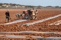 People with tractor harrowing the field during cultivation agriculture works