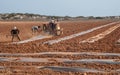 People with tractor harrowing the field during cultivation agriculture works