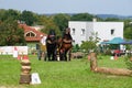 People training their horses outside on meadow 2