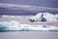 People travel on a special amphibian boat on the ice lagoon in Iceland Royalty Free Stock Photo