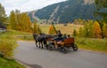 People traveling with a horse-drawn carriage at the countryside of Alpe Di Siusi on the Italian Dolomites in Italy