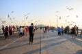 People or traveller come to see seagull bird flying on sea at Bang poo, Samutprakan, Thailand. Royalty Free Stock Photo